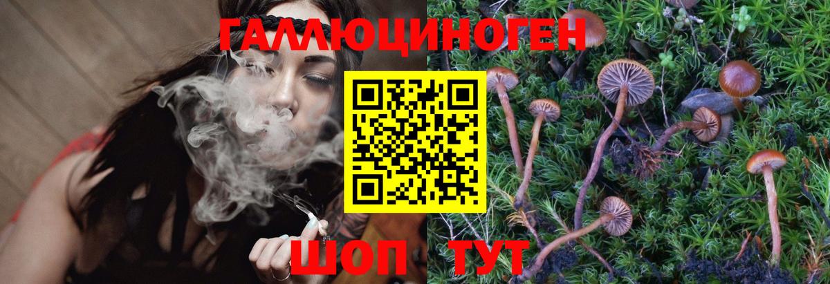 Петропавловск-Камчатский  Галлюциногенные грибы Magic Shrooms  Галлюциногенные грибы мицелий  Вход с VPN 